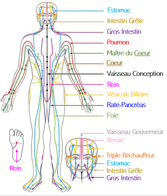 Les Méridiens